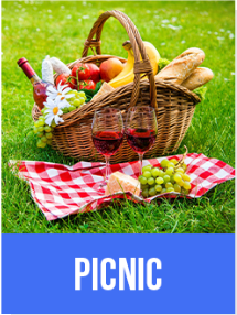 Picnic